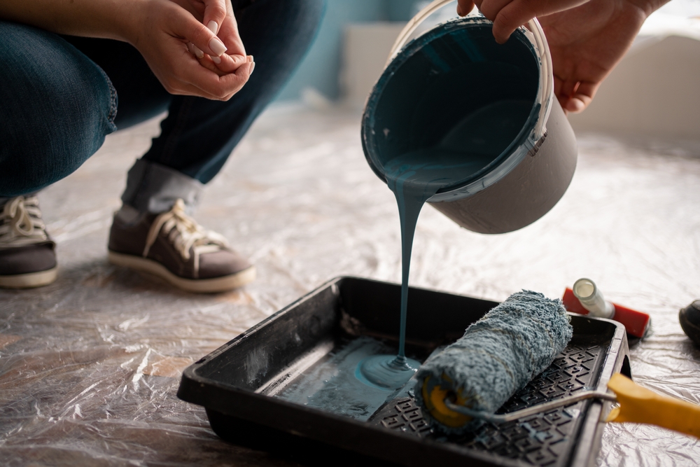 Exterior Paint Protection